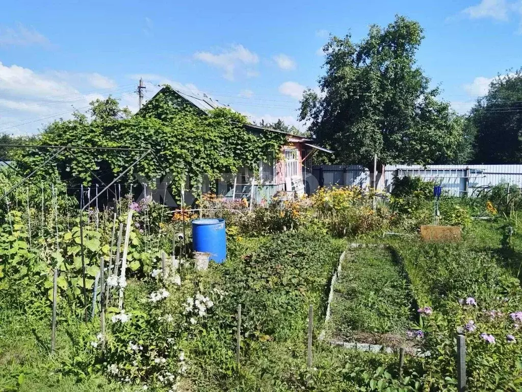 Участок в Брянская область, Брянск  (4.0 сот.) - Фото 1