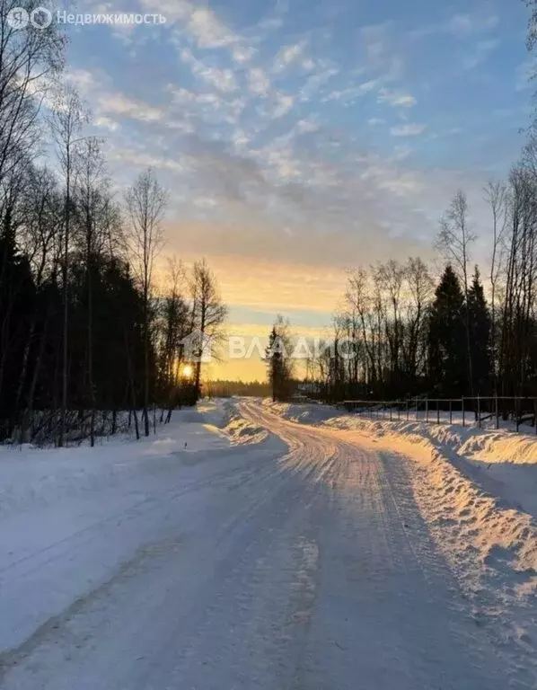 Участок в Московская область, городской округ Клин, КП Вельга парк, ... - Фото 2