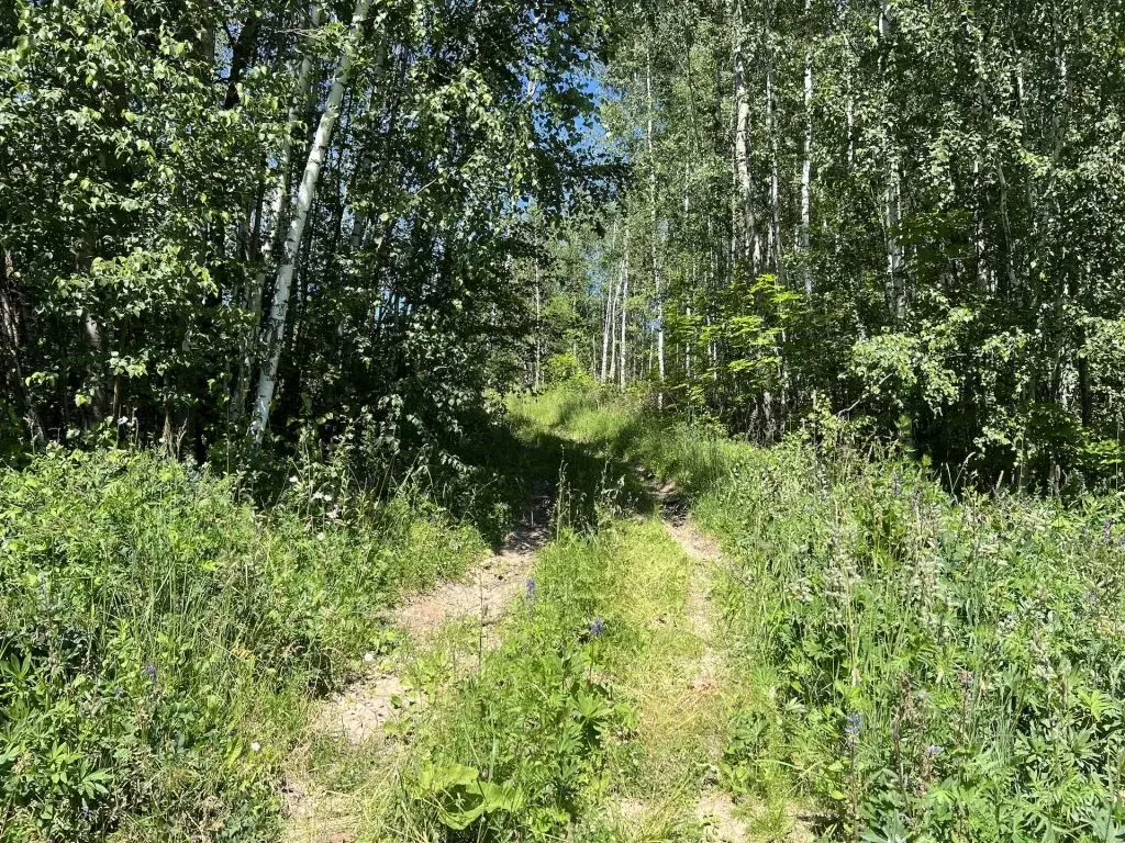 Участок в Владимирская область, Собинский муниципальный округ, д. ... - Фото 2