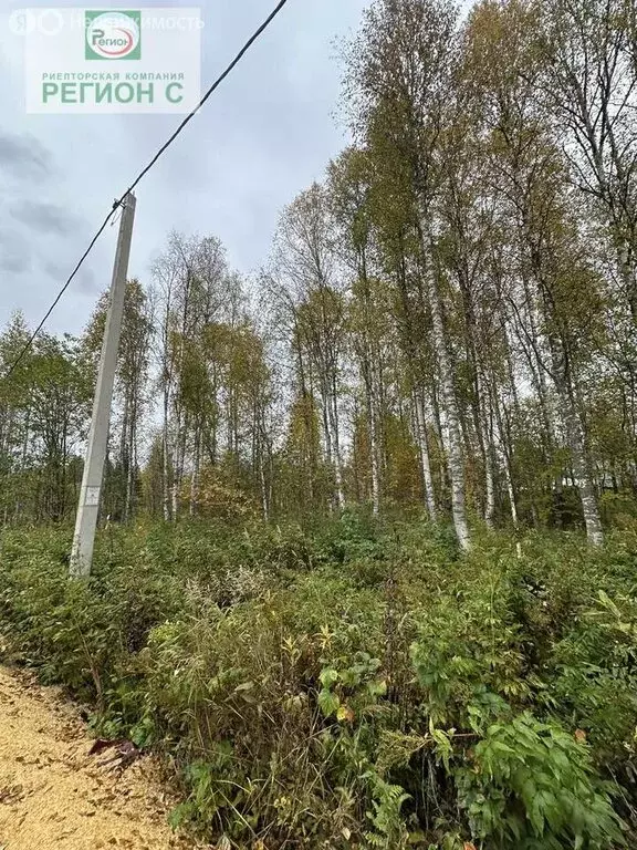 Участок в Архангельская область, Приморский муниципальный округ, СНТ ... - Фото 1