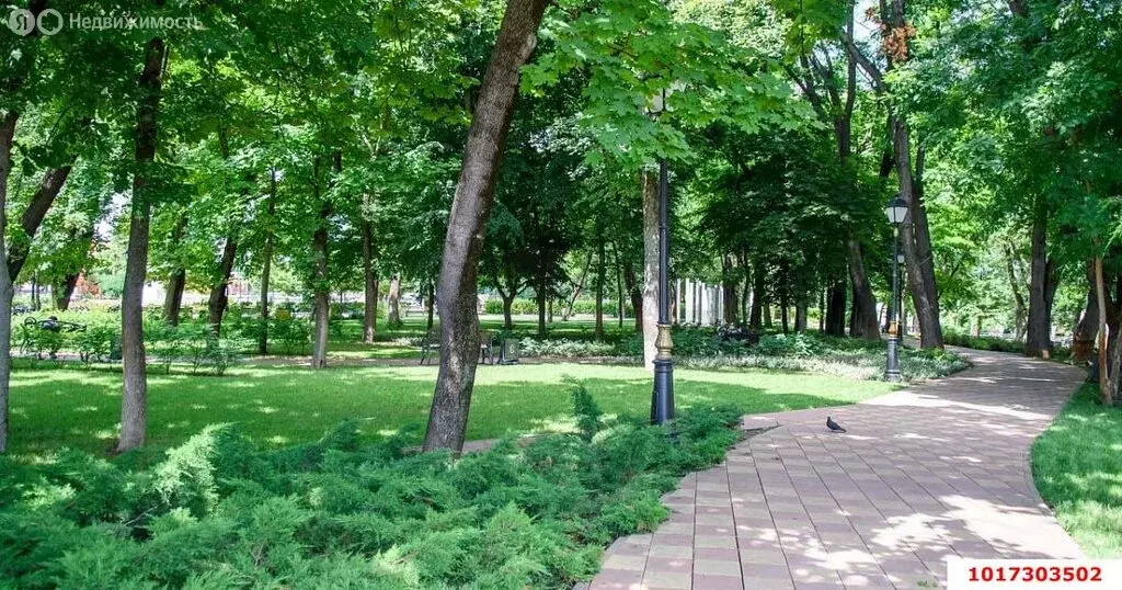 1-комнатная квартира: посёлок Берёзовый, улица Археолога Анфимова, 22 ... - Фото 1