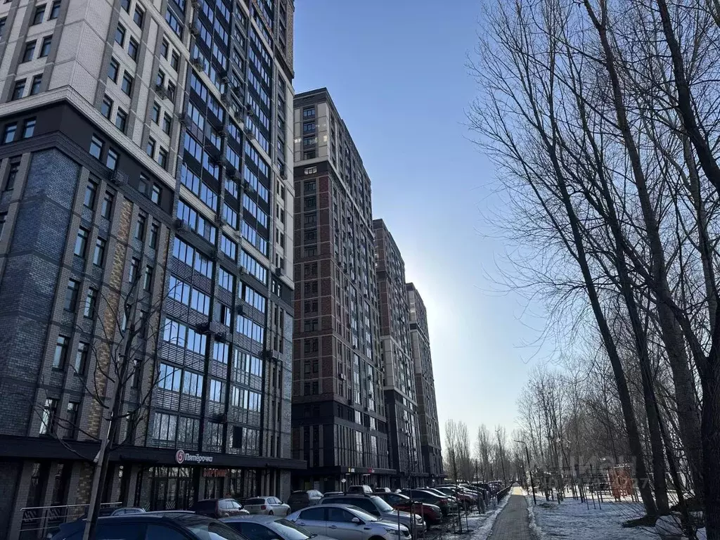 Студия Воронежская область, Воронеж ул. Гаршина, 25к2 (23.2 м) - Фото 1