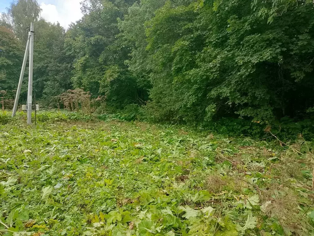 Участок в Московская область, Серпухов городской округ, Коптево СНТ  ... - Фото 1