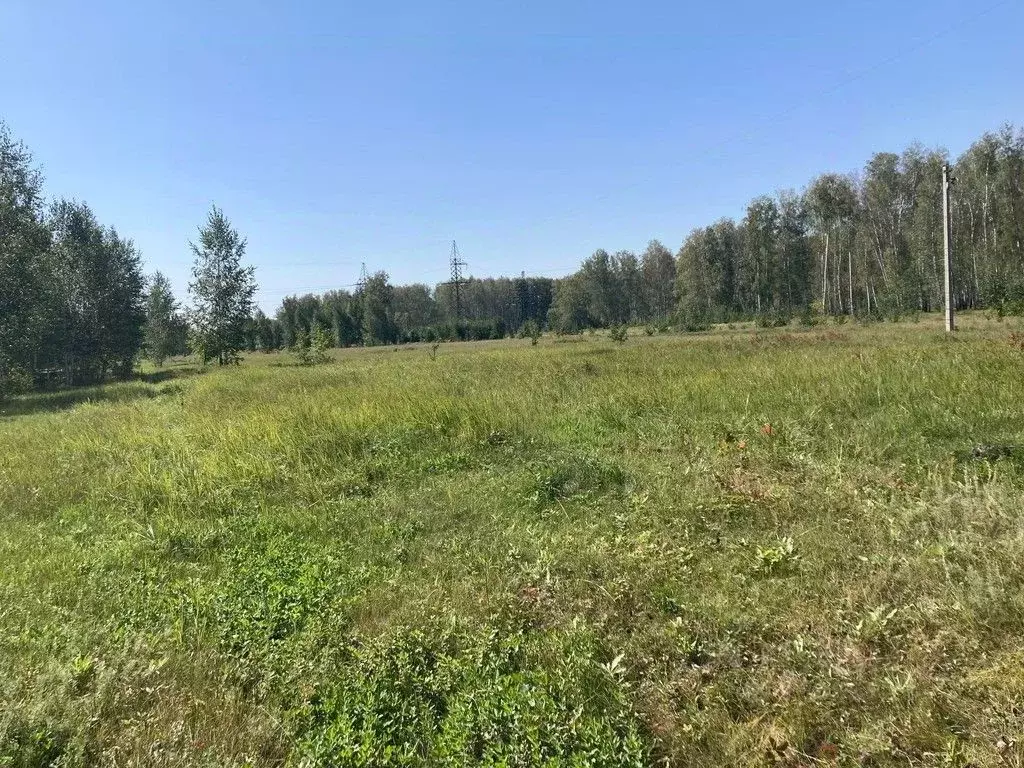 Участок в Омская область, Омский район, Пушкинское с/пос, д. Ракитинка ... - Фото 1