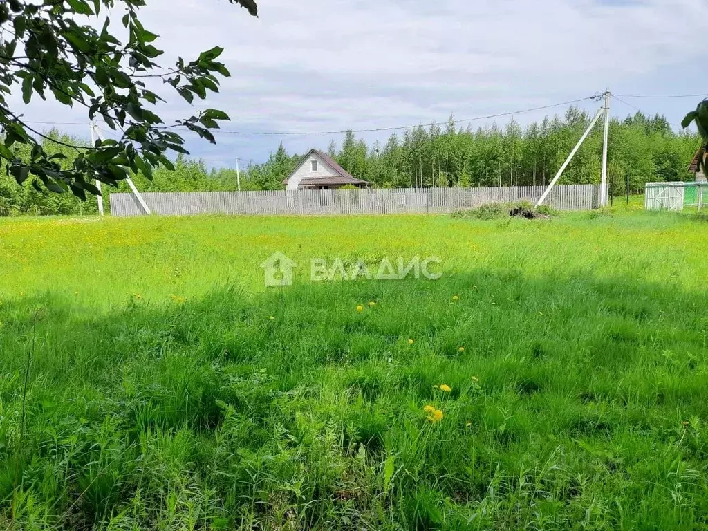 Участок в Вологодская область, Усть-Кубинский муниципальный округ, д. ... - Фото 1