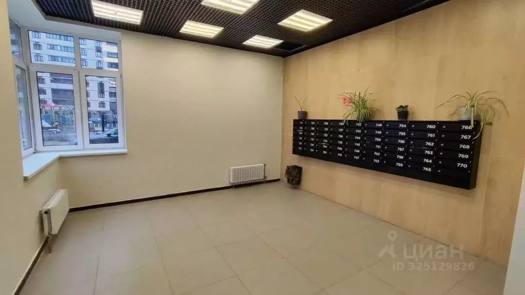 Студия Московская область, Пушкино ул. Просвещения, 12к2 (23.7 м) - Фото 2