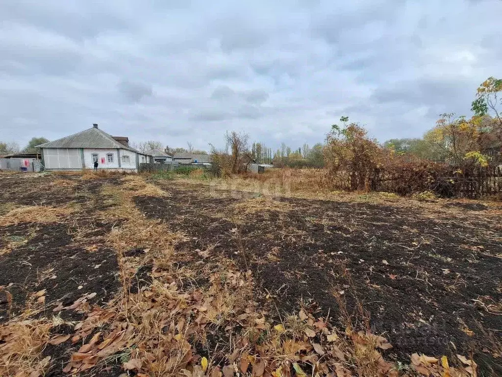 Участок в Воронежская область, Воронеж ул. Лесная (12.6 сот.) - Фото 1