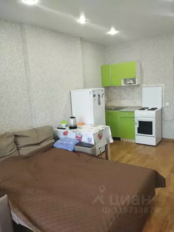 Студия Татарстан, Казань Даурская ул., 34Б (28.0 м) - Фото 1