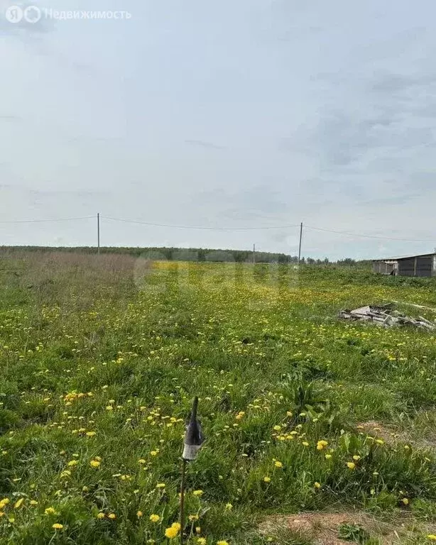 Участок в Калужская область, Малоярославецкий муниципальный округ, ... - Фото 1