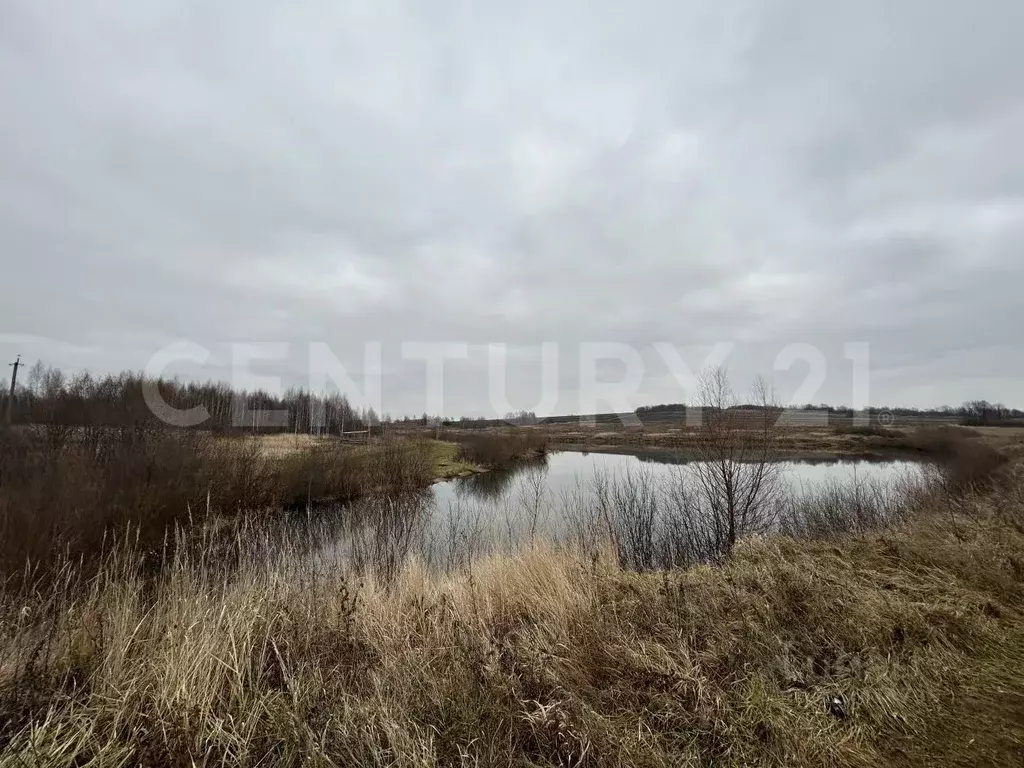 Участок в Башкортостан, Иглинский район, Чуваш-Кубовский сельсовет, с. ... - Фото 2