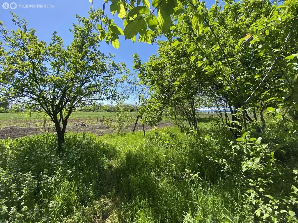 Участок в Лабинск, садоводческое товарищество Рассвет, Дорожная улица, ... - Фото 1