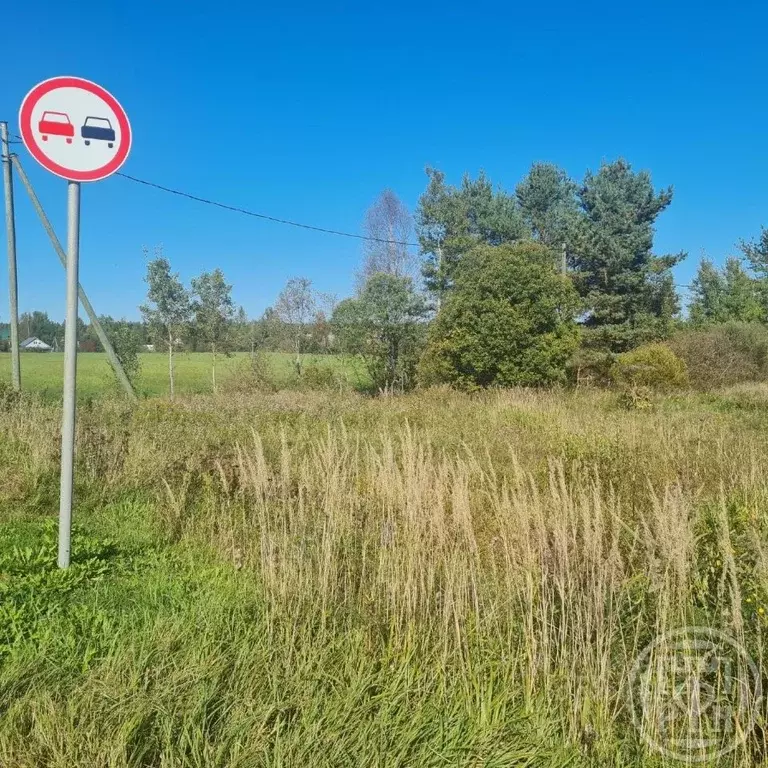 Участок в Ленинградская область, Киришский район, Пчевжинское с/пос, ... - Фото 1