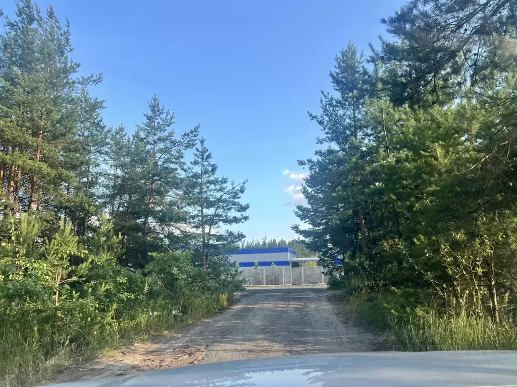 Участок в Нижегородская область, Дзержинск Жилого комплекса Северные ... - Фото 1
