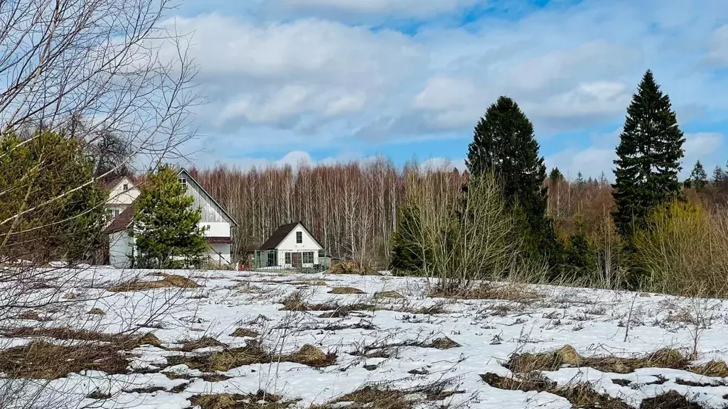 Участок в Московская область, Дмитровский городской округ, д. Сальково ... - Фото 0