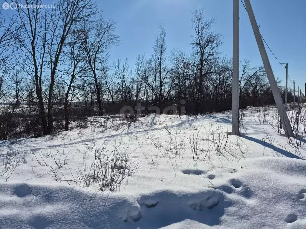 Участок в Борисоглебск, Семейная улица (6.43 м) - Фото 2