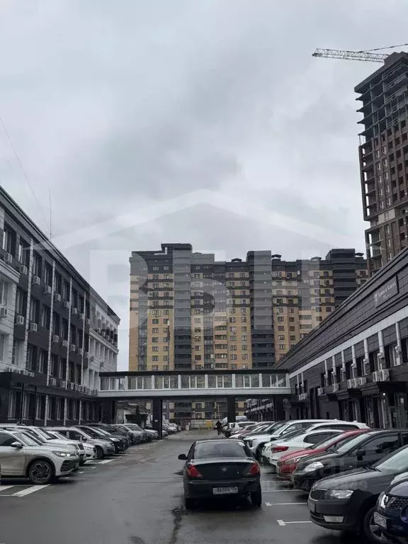 Торговая площадь в Воронежская область, Воронеж ул. Кривошеина, 13 ... - Фото 2