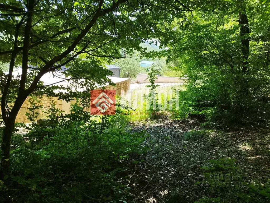Участок в Севастополь с. Широкое, ул. Микадзе, 14 (10.0 сот.) - Фото 1