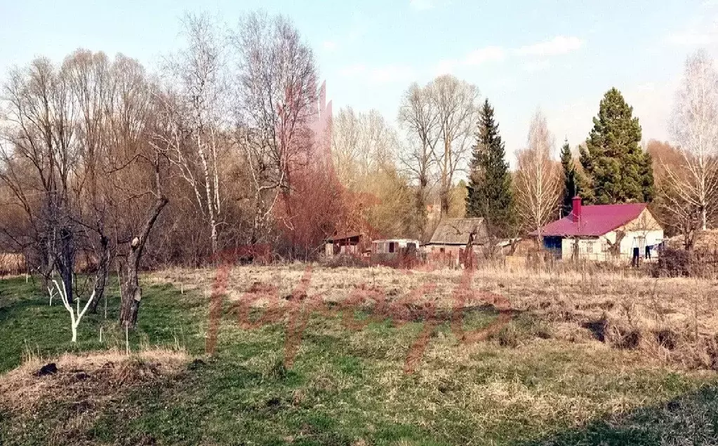 Участок в Орловская область, Урицкий район, Котовское с/пос, д. ... - Фото 1