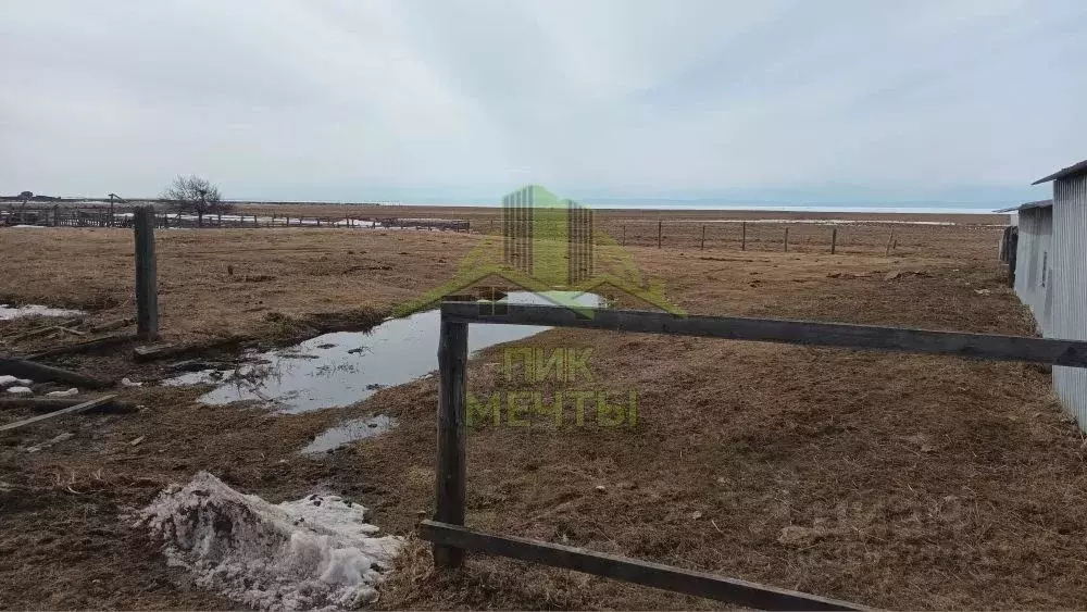 Участок в Бурятия, Кабанский район, с. Оймур Низовская ул., 24 (38.0 ... - Фото 2