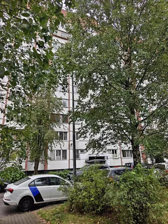 2-к кв. Санкт-Петербург Стародеревенская ул., 19к1 (62.0 м) - Фото 2