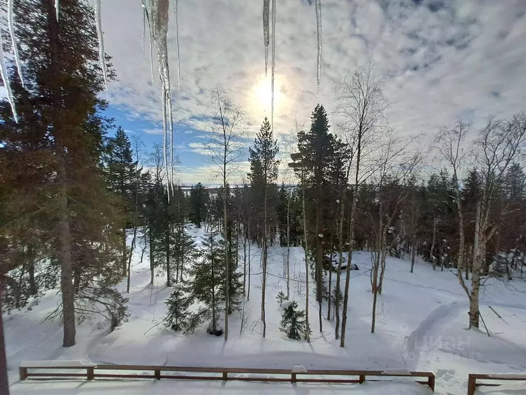 Комната Мурманская область, Апатиты  (16.0 м) - Фото 2