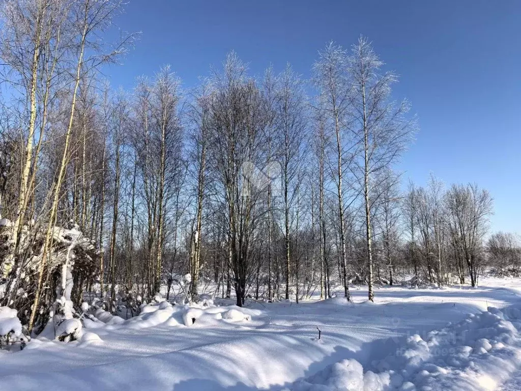 Участок в Ленинградская область, Лужский район, Мшинское с/пос, ... - Фото 0
