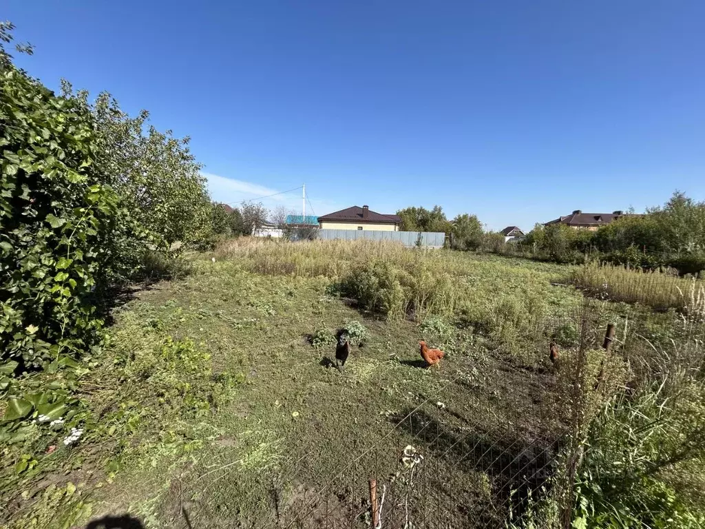 Участок в Татарстан, Лаишевский район, Столбищенское с/пос, с. ... - Фото 1