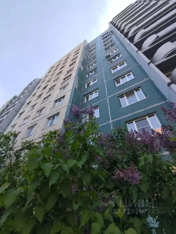 Комната Санкт-Петербург просп. Косыгина, 9К1 (19.1 м) - Фото 1