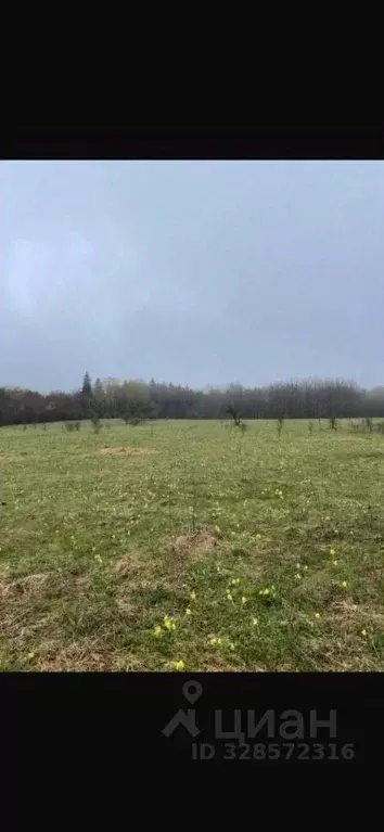 Участок в Ленинградская область, Тосненский район, Трубникоборское ... - Фото 1