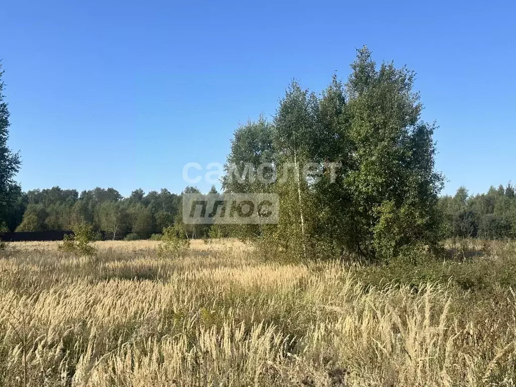 Участок в Московская область, Чехов  (10000.0 сот.) - Фото 0
