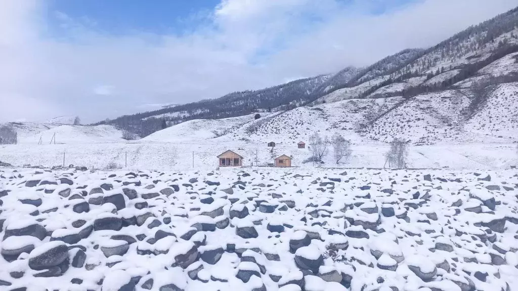 Участок в Алтай, Усть-Коксинский район, с. Тюнгур ул. Лазурная (19.5 ... - Фото 1