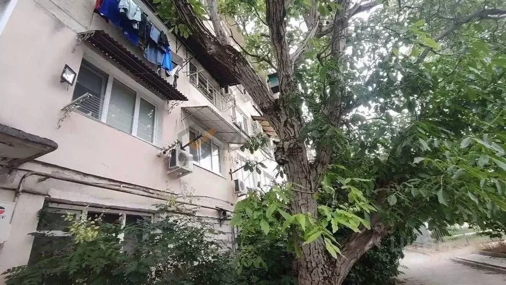 Комната Севастополь ул. Маршала Крылова, 8 (10.1 м) - Фото 1