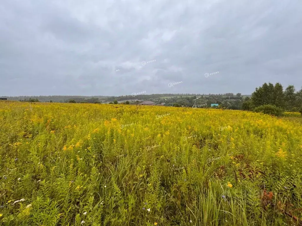 Участок в Тульская область, Тула городской округ, д. Волоть 2А (15.0 ... - Фото 2