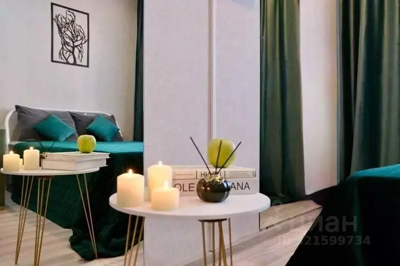 1-к кв. Красноярский край, Красноярск Северный мкр, пер. ... - Фото 2