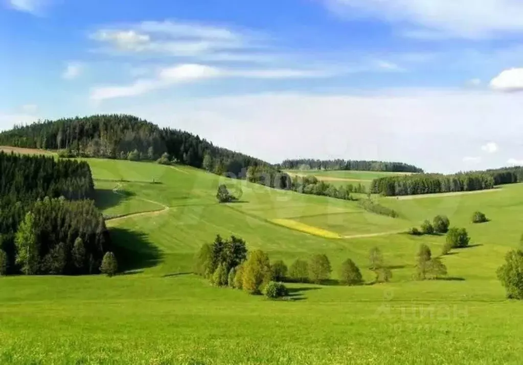 Участок в Калужская область, Дзержинский муниципальный округ, Совхоз ... - Фото 1