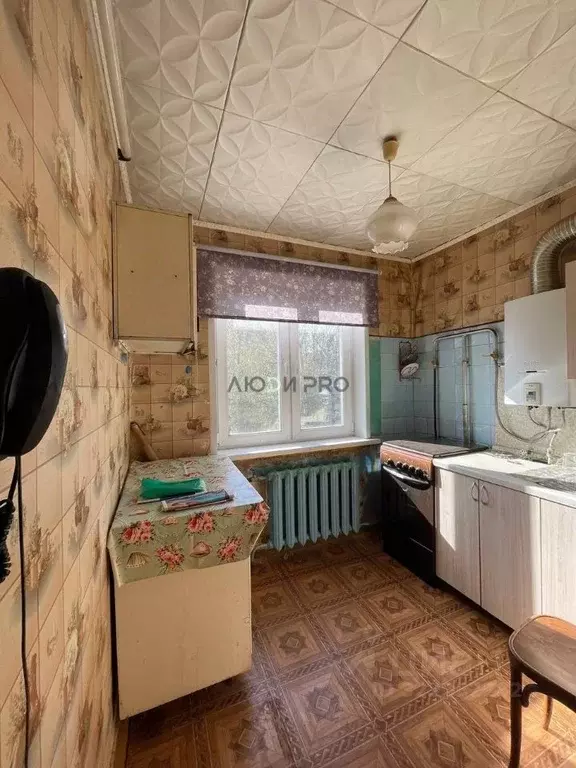 1-к кв. Ярославская область, Ярославль ул. Урицкого, 34 (30.1 м) - Фото 1