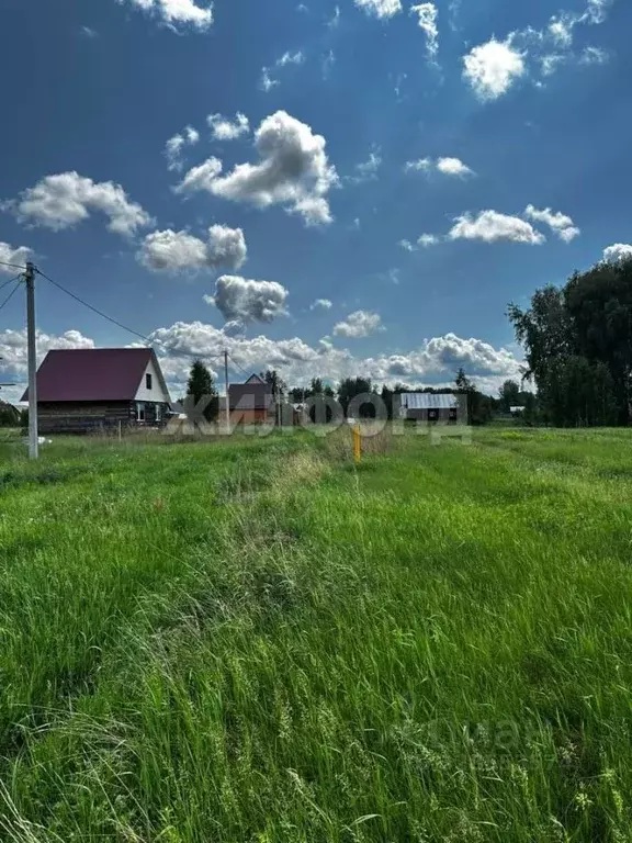 Участок в Новосибирская область, Ордынское рп ул. Широкая (10.0 сот.) - Фото 1