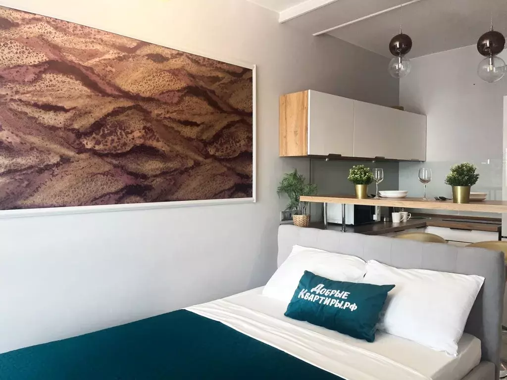 Студия Ростовская область, Ростов-на-Дону Береговая ул., 73с1 (27.0 м) - Фото 2