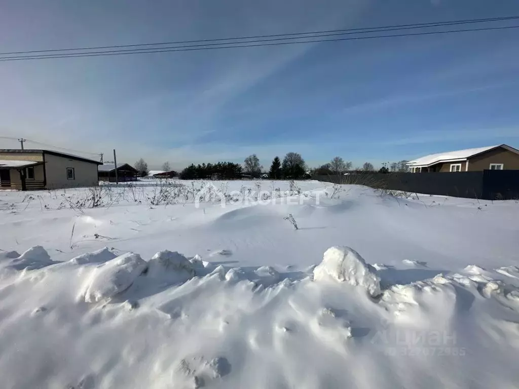 Участок в Московская область, Павлово-Посадский городской округ, д. ... - Фото 1