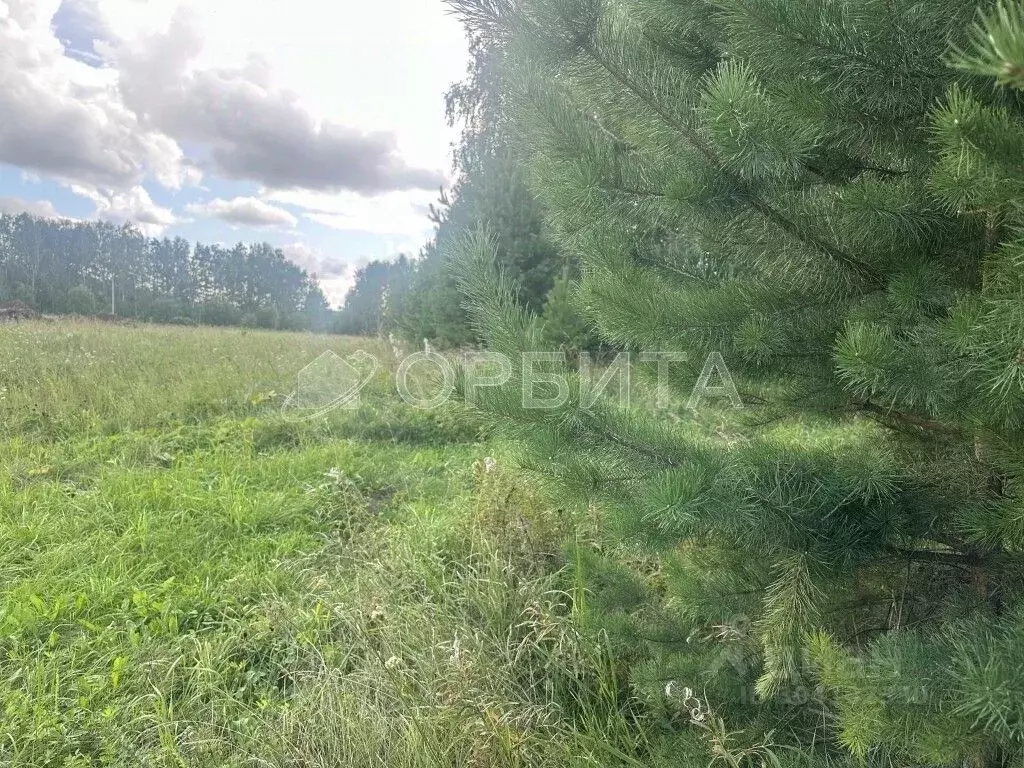 Участок в Тюменская область, Тюменский район, д. Ушакова  (7.0 сот.) - Фото 0