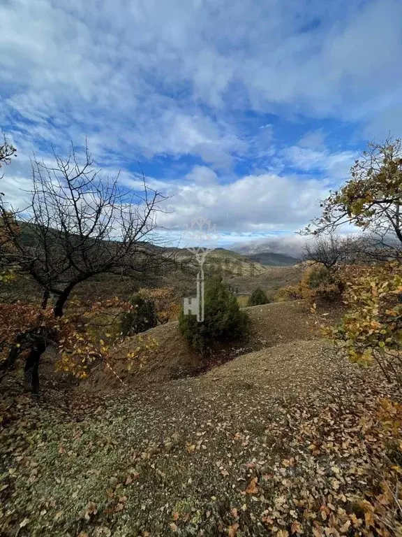 Участок в Крым, Алушта муниципальный округ, с. Приветное  (5.0 сот.) - Фото 2