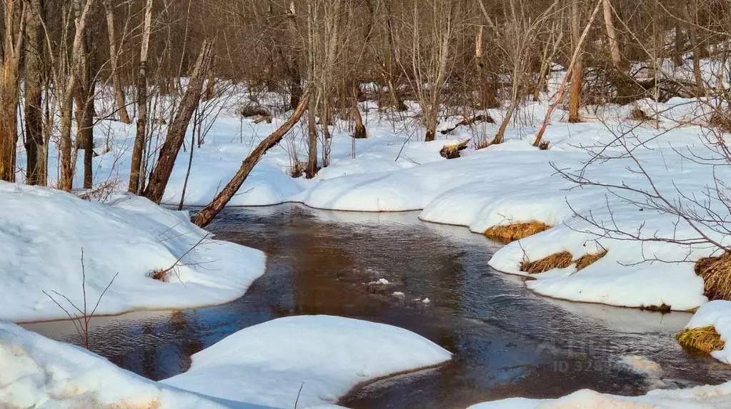 Коттедж в Московская область, Волоколамский муниципальный округ, ... - Фото 2