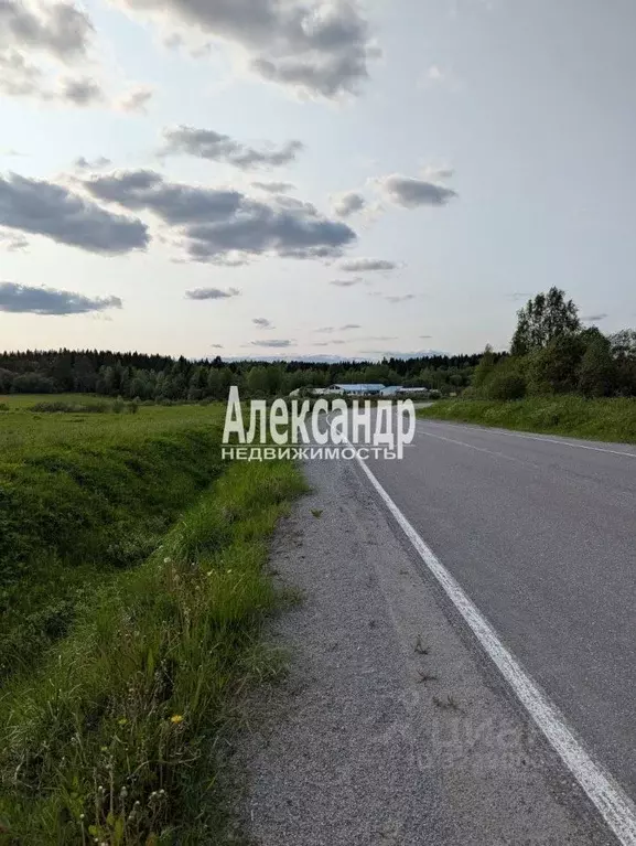 Участок в Карелия, Лахденпохский муниципальный округ, пос. Ханканмяки  ... - Фото 2