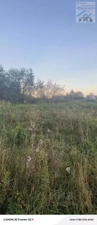 Участок в Пермский край, с. Бершеть ул. Цветочная, 24 (10.0 сот.) - Фото 1