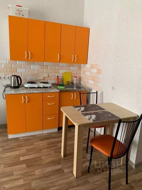 Студия Алтайский край, Барнаул Балтийская ул., 97 (26.1 м) - Фото 0