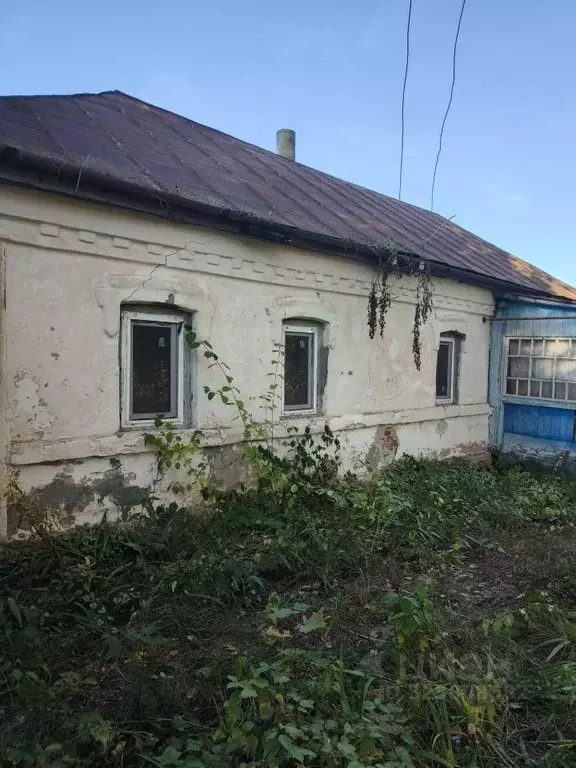 Дом в Воронежская область, Верхнехавский район, Малоприваловское ... - Фото 2