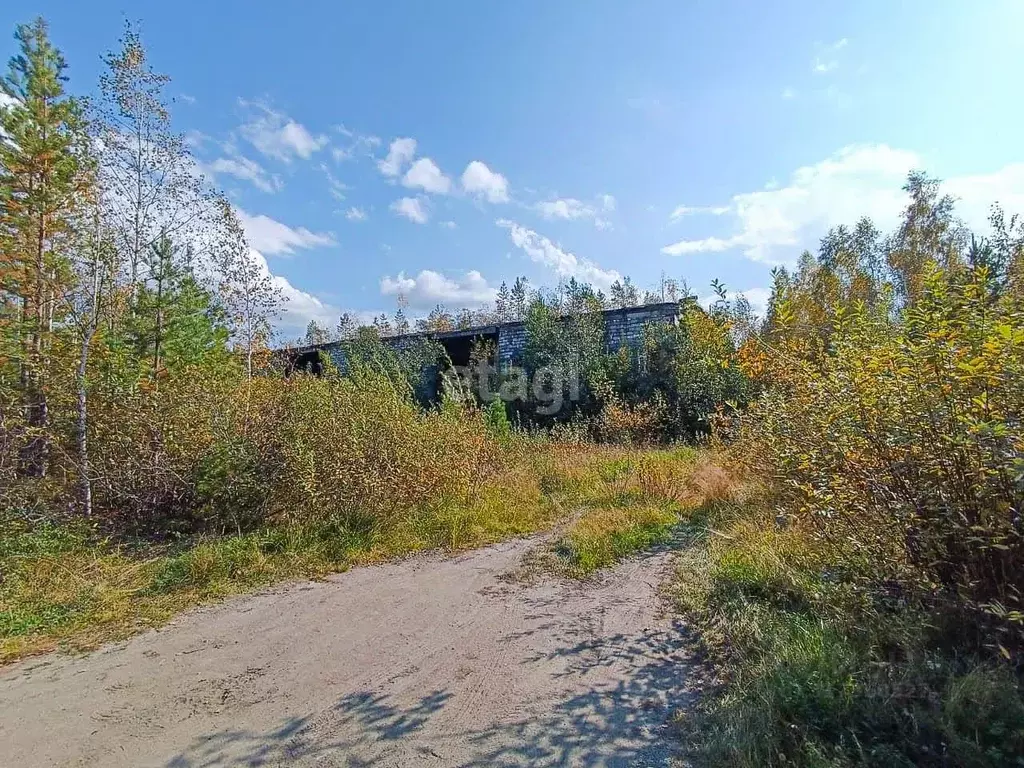 Помещение свободного назначения в Свердловская область, Дегтярск ул. ... - Фото 1