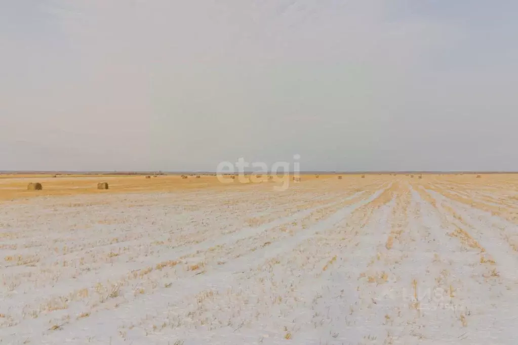 Участок в Челябинская область, Красноармейский район, с. Канашево  ... - Фото 1