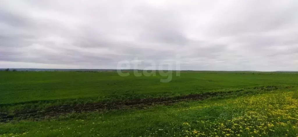 Участок в Крым, Ленинский район, Семисотское с/пос, с. Каменское ул. ... - Фото 0