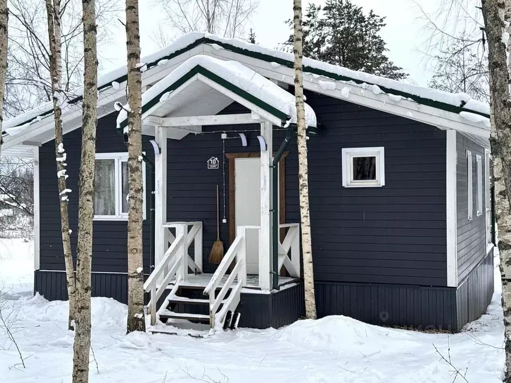 Дом в Новгородская область, Любытинское с/пос, д. Бор 129 (68 м) - Фото 1